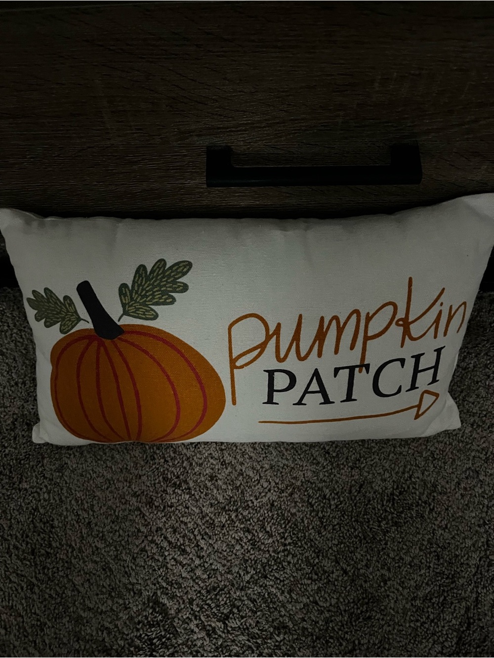 Autumn Pumpkin Patch Decorative Pillow